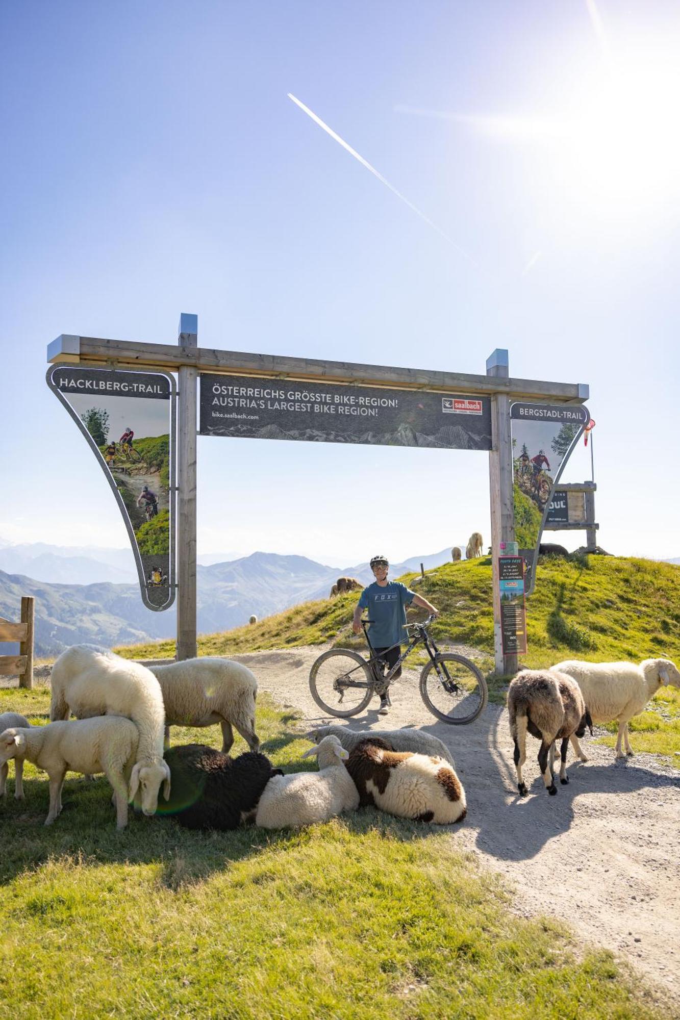 Landhaus Saalbach - Joker Card Included In Summer Экстерьер фото